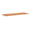 Rectangular Top - 72''W x 24''D (Requires Base) - Image 10